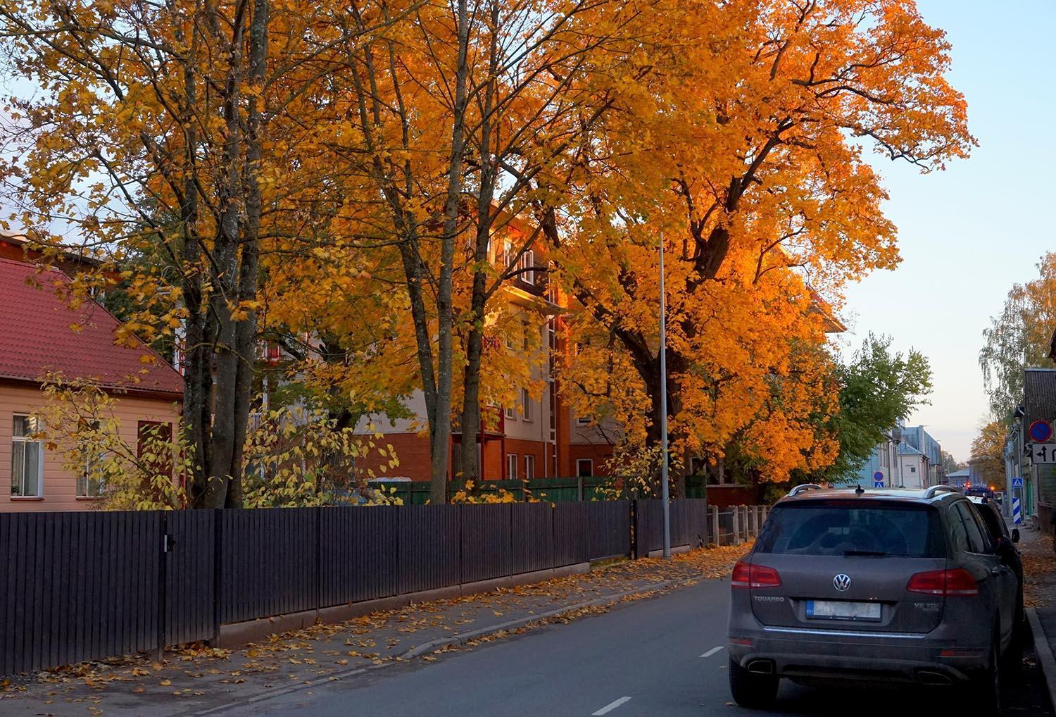 Quiet Romantic Studio Plus Parking, Tartu Home Exterior photo